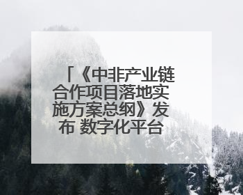 《中非产业链合作项目落地实施方案总纲》发布 数字化平台赋能非洲发展驶入快车道