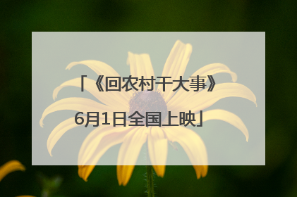 《回农村干大事》6月1日全国上映