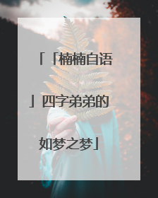 「楠楠自语」四字弟弟的如梦之梦