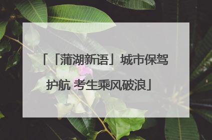 「蒲湖新语」城市保驾护航 考生乘风破浪