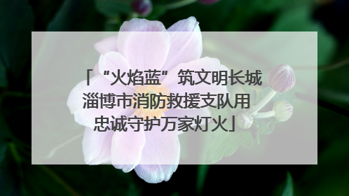 “火焰蓝”筑文明长城 淄博市消防救援支队用忠诚守护万家灯火