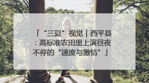 “三夏”视觉｜西平县：高标准农田里上演昼夜不停的“速度与激情”