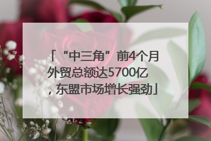 “中三角”前4个月外贸总额达5700亿，东盟市场增长强劲