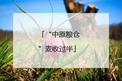 “中原粮仓”麦收过半