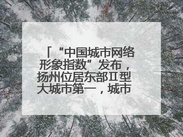 “中国城市网络形象指数”发布，扬州位居东部Ⅱ型大城市第一，城市生活形象亮眼