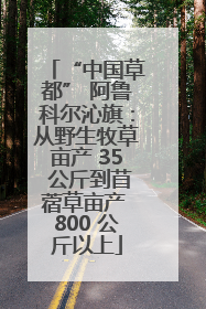 “中国草都” 阿鲁科尔沁旗：从野生牧草亩产 35 公斤到苜蓿草亩产 800 公斤以上