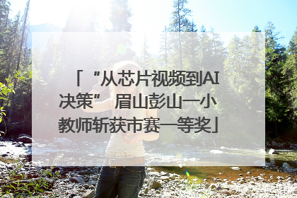 “从芯片视频到AI决策” 眉山彭山一小教师斩获市赛一等奖