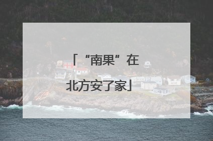 “南果”在北方安了家