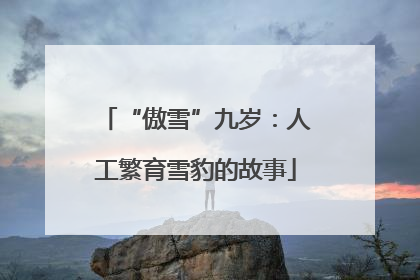 “傲雪”九岁：人工繁育雪豹的故事