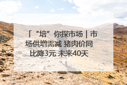 “培”你探市场｜市场供增需减 猪肉价同比降3元 未来40天便宜猪肉敞开吃