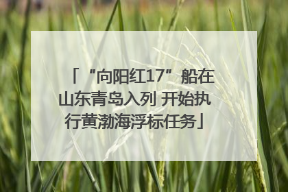 “向阳红17”船在山东青岛入列 开始执行黄渤海浮标任务