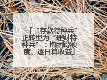 “存款特种兵”正转型为“理财特种兵”：抱团蹲额度、逐日算收益