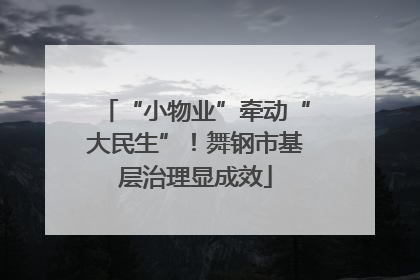 “小物业”牵动“大民生”！舞钢市基层治理显成效