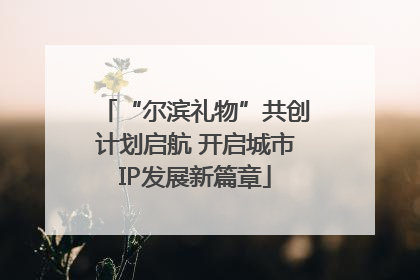 “尔滨礼物”共创计划启航 开启城市IP发展新篇章