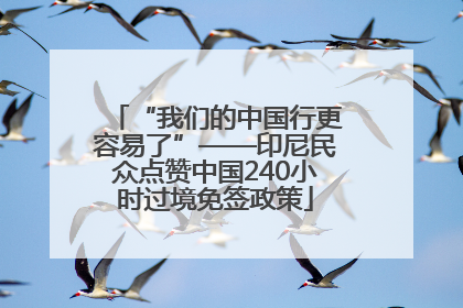 “我们的中国行更容易了”——印尼民众点赞中国240小时过境免签政策
