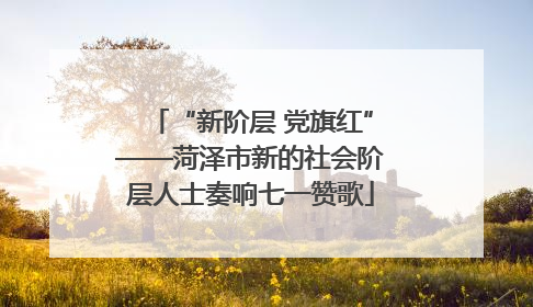 “新阶层 党旗红”——菏泽市新的社会阶层人士奏响七一赞歌