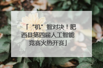 “机”智对决！肥西县第四届人工智能竞赛火热开赛