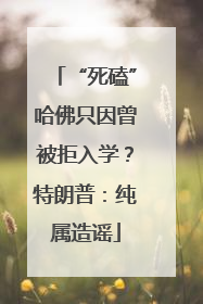 “死磕”哈佛只因曾被拒入学？特朗普：纯属造谣