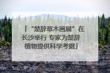 “楚辞草木画展”在长沙举行 专家为楚辞植物提供科学考据