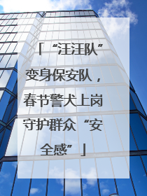 “汪汪队”变身保安队，春节警犬上岗守护群众“安全感”