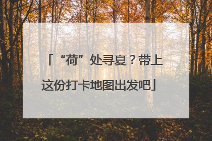 “荷”处寻夏？带上这份打卡地图出发吧