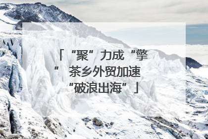 “聚”力成“擎” 茶乡外贸加速“破浪出海”