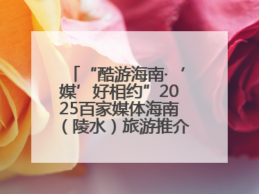 “酷游海南·‘媒’好相约”2025百家媒体海南（陵水）旅游推介活动启幕