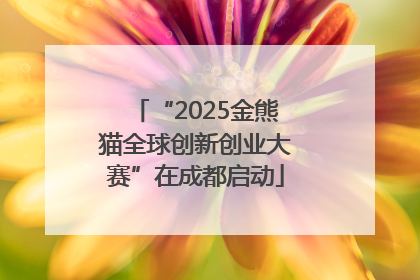 “2025金熊猫全球创新创业大赛”在成都启动