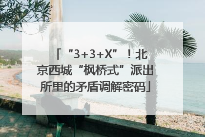 “3+3+X”！北京西城“枫桥式”派出所里的矛盾调解密码