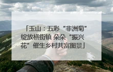 玉山：五彩“非洲菊”绽放横街镇 朵朵“振兴花”催生乡村共富图景
