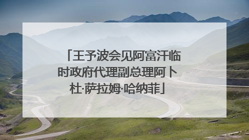 王予波会见阿富汗临时政府代理副总理阿卜杜·萨拉姆·哈纳菲