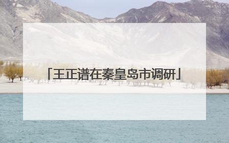 王正谱在秦皇岛市调研