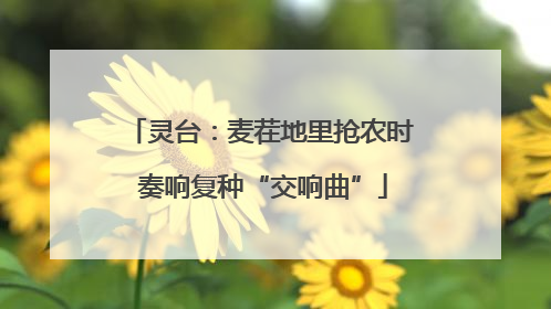 灵台：麦茬地里抢农时 奏响复种“交响曲”