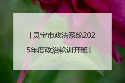灵宝市政法系统2025年度政治轮训开班