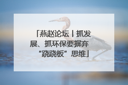 燕赵论坛丨抓发展、抓环保要摒弃“跷跷板”思维