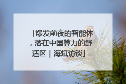 爆发前夜的智能体，落在中国算力的舒适区｜海斌访谈
