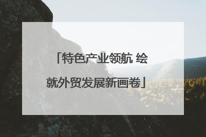 特色产业领航 绘就外贸发展新画卷