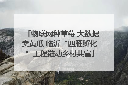物联网种草莓 大数据卖黄瓜 临沂“四雁孵化”工程链动乡村共富