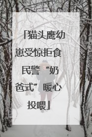 猫头鹰幼崽受惊拒食 民警“奶爸式”暖心投喂