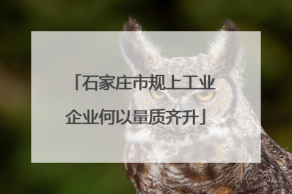 石家庄市规上工业企业何以量质齐升