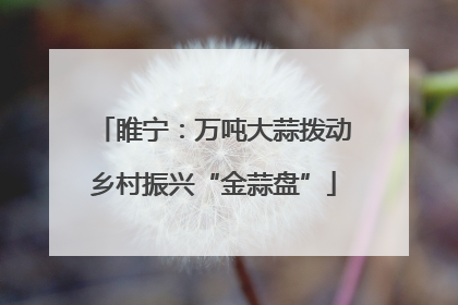 睢宁：万吨大蒜拨动乡村振兴“金蒜盘”