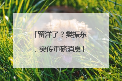 留洋了？樊振东，突传重磅消息