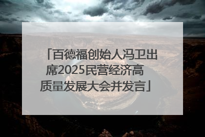 百德福创始人冯卫出席2025民营经济高质量发展大会并发言