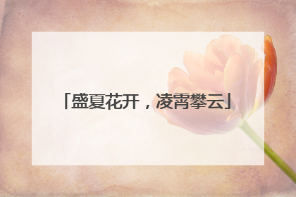 盛夏花开，凌霄攀云
