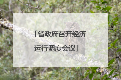 省政府召开经济运行调度会议
