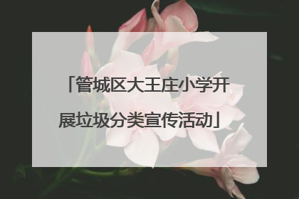 管城区大王庄小学开展垃圾分类宣传活动