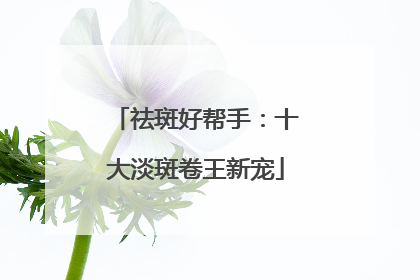祛斑好帮手：十大淡斑卷王新宠