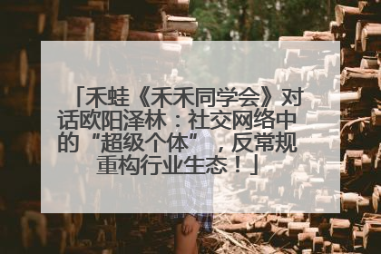禾蛙《禾禾同学会》对话欧阳泽林：社交网络中的“超级个体”，反常规重构行业生态！