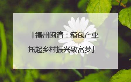 福州闽清：箱包产业托起乡村振兴致富梦