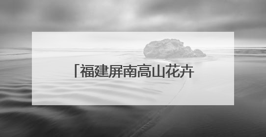 福建屏南高山花卉绽放“致富花”